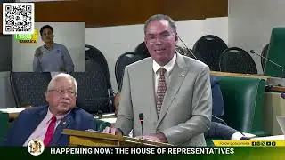 JLP MP Min Daryl Vaz Sitting of the Parliament 2026