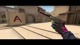 USP-S Forest Leaves Battle-Scarred Showcase