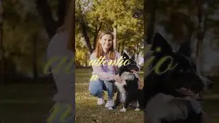 Understanding Dog Emotions Better