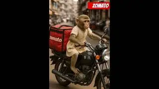 Because of poverty mother monkey delivers Zomato orders on bike 🐵💔 Struggling for baby&rsquo;s future 💼🍱