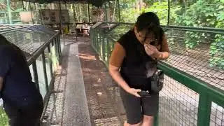 Zoobic Safari 04.2024