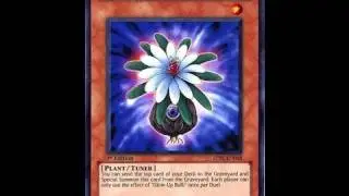 Yugioh Glow up Bulb is Broken?!?