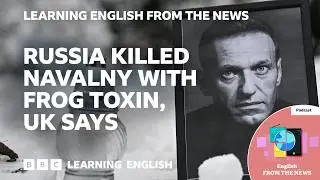 Russia killed Alexei Navalny with frog toxin, UK says: BBC Learning English from the News