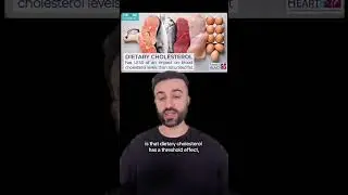 EGGS DON&rsquo;T RAISE CHOLESTEROL! 🤔❌🥚 #health #doctor #nutrition #science #fitness