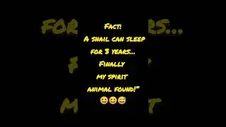learning with laughter hits different!&rdquo;