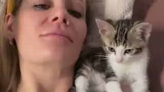 a kitten meowing  #kittenadoption #kittensplaying #kittenlady #shortvideo #shortscatsvideos