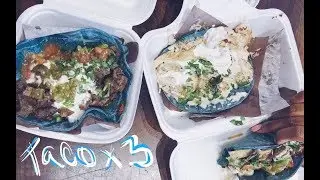 TACO TACO TACO: Seven Lives, Toronto