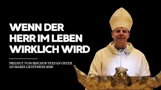 Wenn der Herr im Leben wirklich wird - Predigt von Bischof Stefan Oster an Mariä Lichtmess