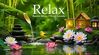 Deep Relaxation Music with Gentle Water Drips 🌿 Relaxing Music for Emotional Balance