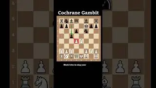 Beat the Petrov Defense with Cochrane Gambit