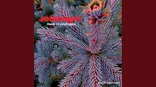 Heim til j&oacute;lahugna