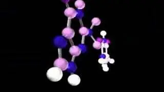Thymine & Guanine
