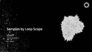 Samples by Loop Scope - LS.s17