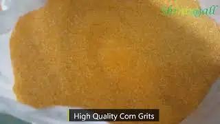 6fw-100ts corn milling line 100TPD corn grits, flour processing plant