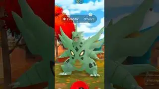 Found High Cp Tyranitar in Wild! #shorts #rare #wild #highcp #catch #tyranitar #pok&eacute;mon #ultragoo