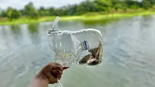 アマゾン河にペットボトルトラップを仕掛けた結果・・・！