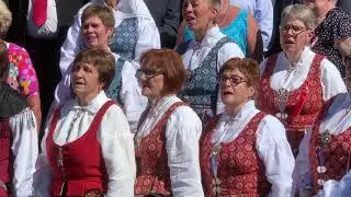 17 maikoret i Sings&aring;s