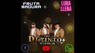 fruta madura,  luna llena / trio distintos de la sierra