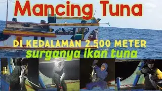 Mancing ikan tuna di kedalaman 2.500 meter - tehnik mancing handline tradisional nelayan puger
