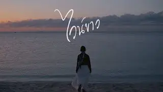 Banana Jogging - ไวน์ขาว (Relationship) | Official MV