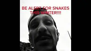 SNAKE ALERT