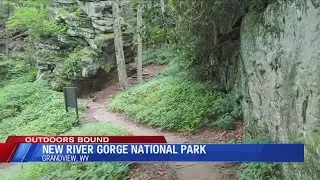 New River Gorge National Park hiking tips