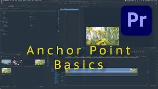 ОПОРНЫЕ ТОЧКИ для пользовательского движения в Adobe Premiere Pro CC