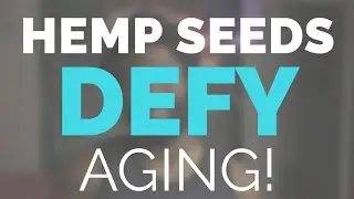 9 Facts About HEMP SEED OIL