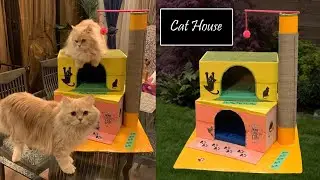 how to make amazing kitten | cat pet house from cardboard /Cat House / Kitten House (2)