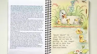 Personal faith journal flip through