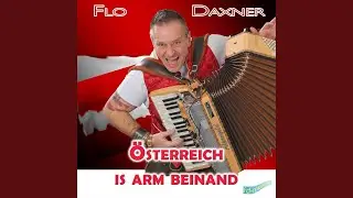 &Ouml;sterreich is arm beinand