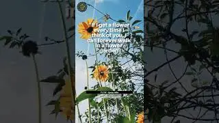 Flowers 🔥😎 #shorts #youtubeshorts #quotes #inspiration #motivational #fyp