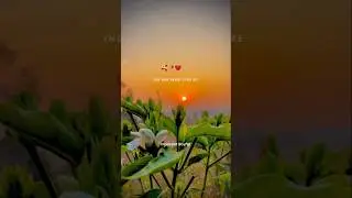 O RE DULARI 🥰🔥//SANTALI STATUS VIDEO #santali_status_video #OReDulari