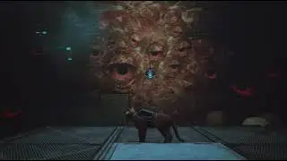 Stray [10] Blasting the Zurgs of Creepy Sewers