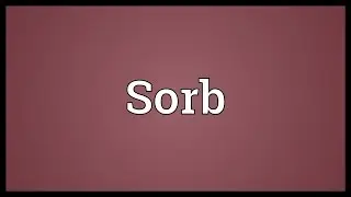 Sorb Meaning
