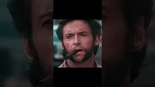 the Wolverine: Nature's Most Insane Survival Strategy