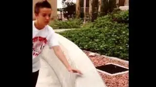 Renaissance Movement instagram video 3: short moments from our training, classes, and events.