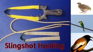 I Tried Indian Slingshot Dankung Tubes for 30 Days Here's What Happened