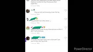 Quick PSA on Tbe  Nora The Wolf amino
