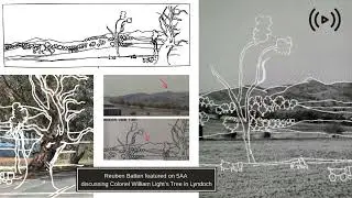 Reuben Batten on 5AA Nights with Matthew Pantelis: Colonel William Light's Tree
