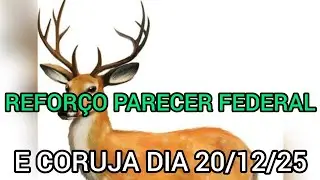 REFOR&Ccedil;O E PARECER FEDERAL E CORUJA DIA 20/12/25 (SORTE A TODOS)@canaldomarcao1969 
