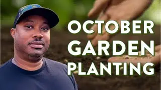 Vegetables to grow in October | Fall Gardening