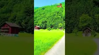 Switzerland Green Valleys | Alpine Nature Views