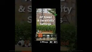 Autofocus Speed & Sensitivity Settings Guide | For Video Shooting on Modern Cameras