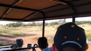 Waterhole visit | Hlane Royal National Park of Eswatini