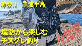 神奈川県　三浦半島　堤防から楽しむチヌ・グレ釣り！