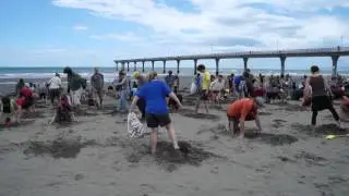 Heads in the Sand Christchurch 2014