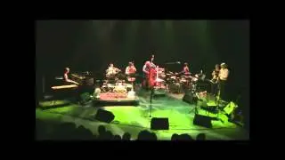 Ode to a tree - Jolijn Goethals