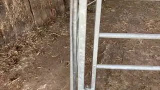 GALVANISED CATTLE HANDLING SYSTEM