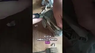 J&rsquo;ouvre la bo&icirc;te&hellip; et je ne m&rsquo;attendais pas &agrave; &ccedil;a 😳